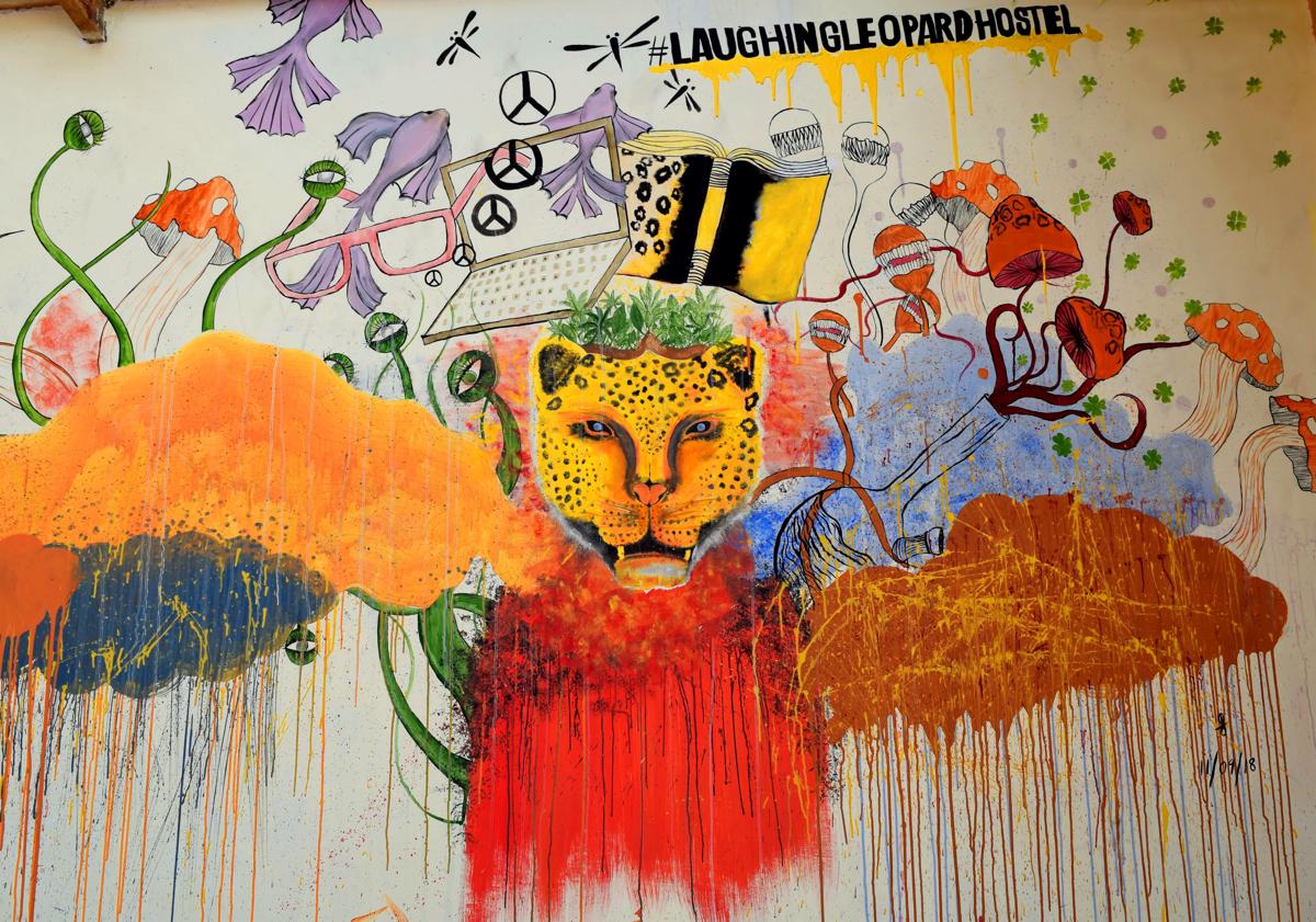 Laughing Leopard Hostel photo 3