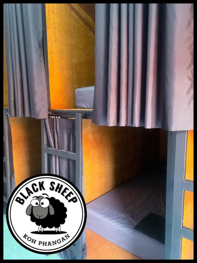 The Black Sheep Hostel photo 3