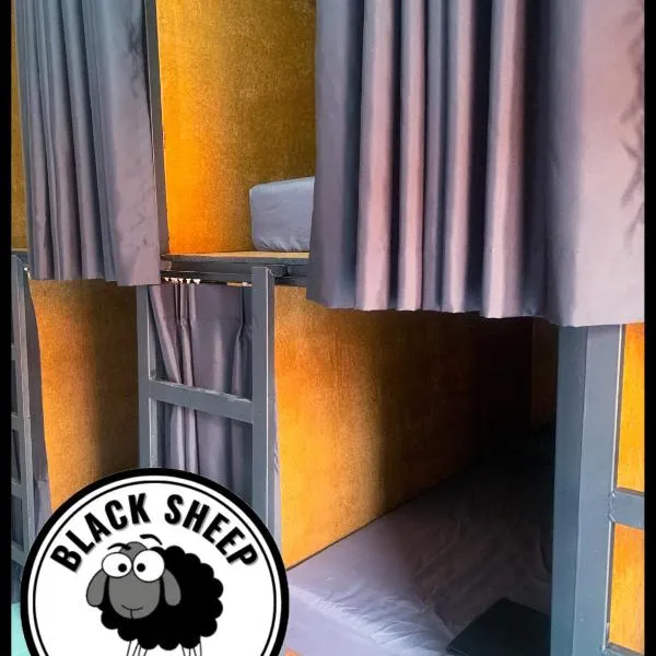The Black Sheep Hostel photo 5