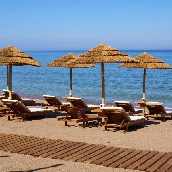 Irida Resort Suites photo 5