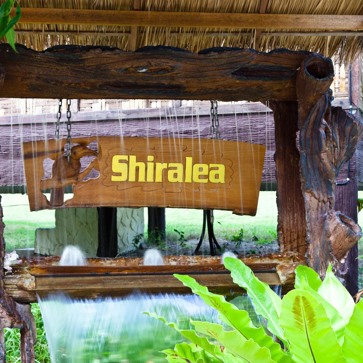 Shiralea Backpackers Resort photo 1