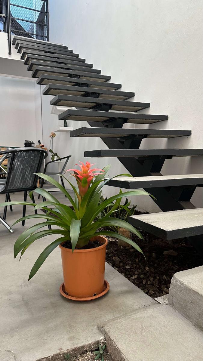 SJO Oasis Hostel photo 2