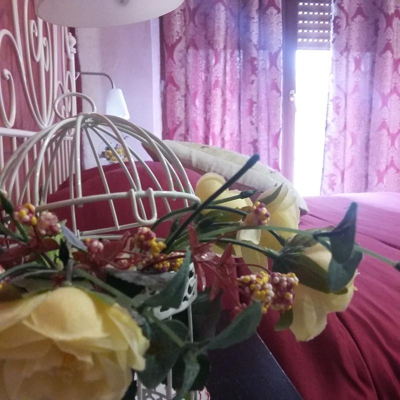 B&B DolceVita photo 4