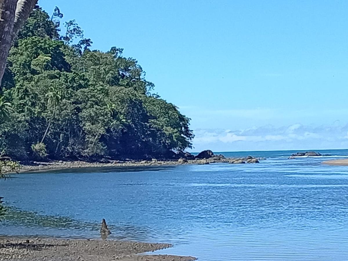 Ceiba Ganadito photo 1