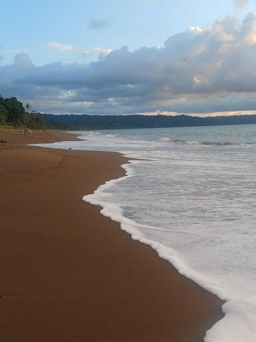 Ceiba Ganadito photo 4