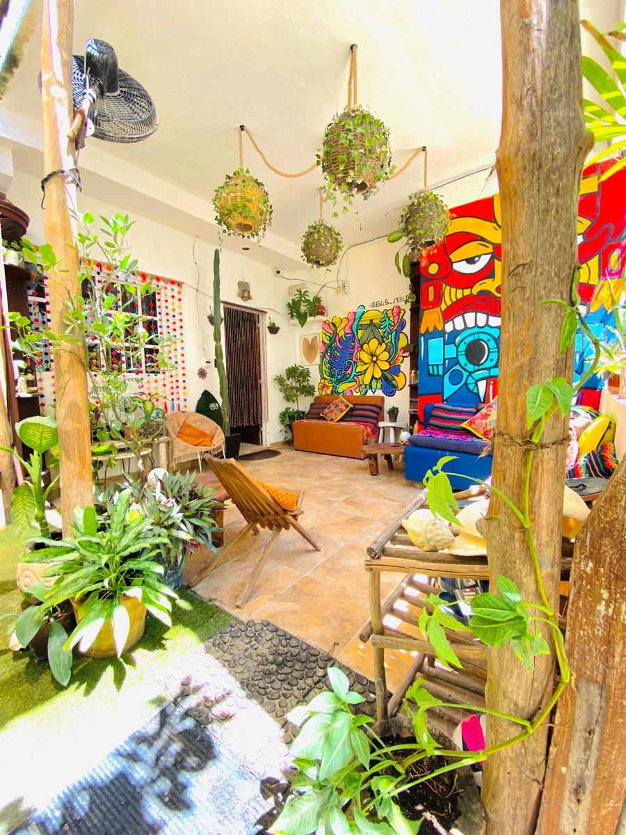 Semilla Guesthouse photo 2