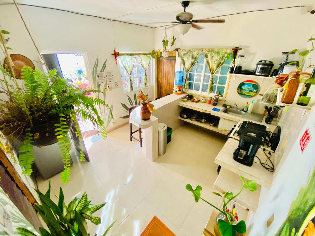 Semilla Guesthouse photo 4