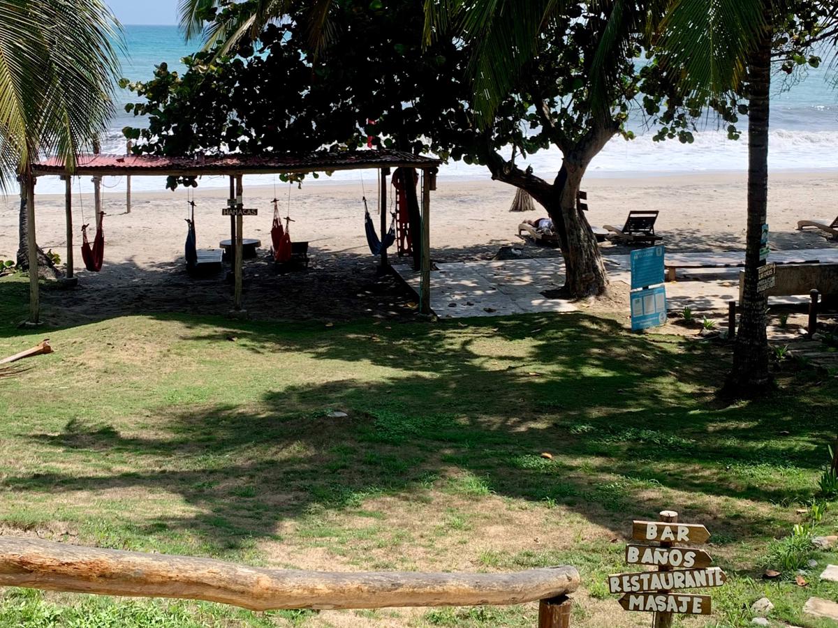 Cocobeach Palomino photo 4