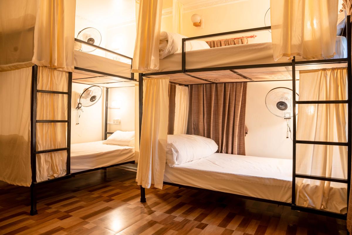 Lazy Lads Backpackers Hostel photo 2