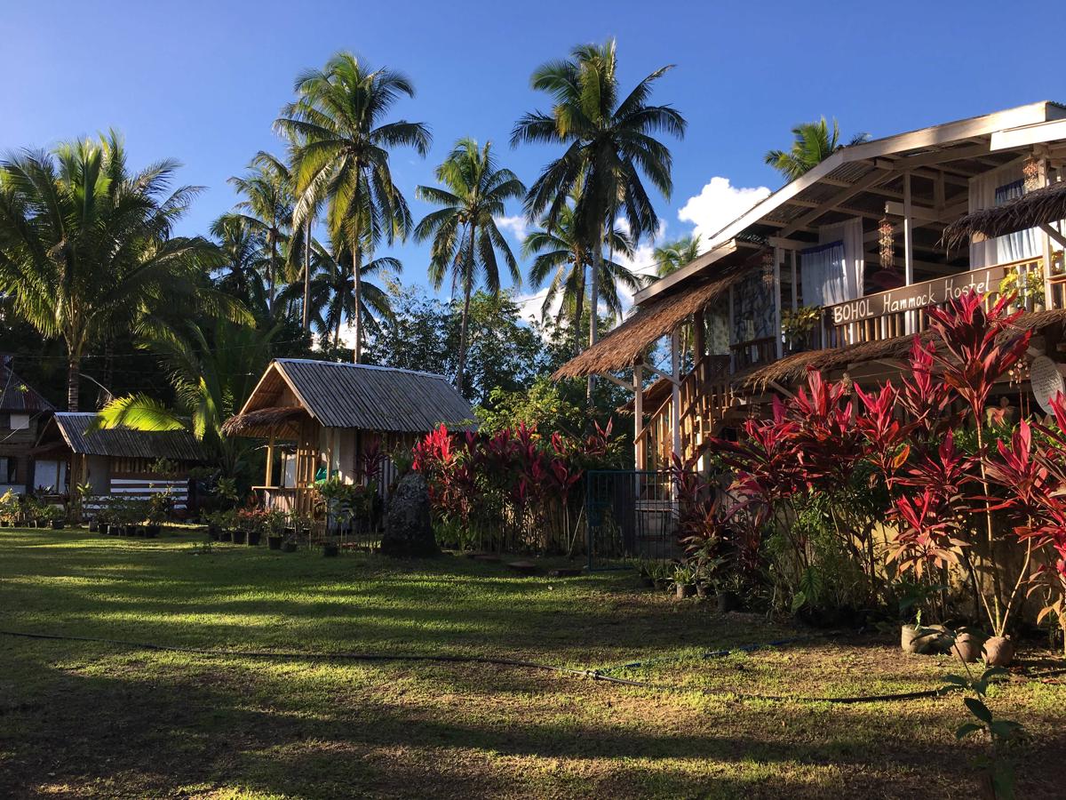 Bohol Hammock Hostel photo 1