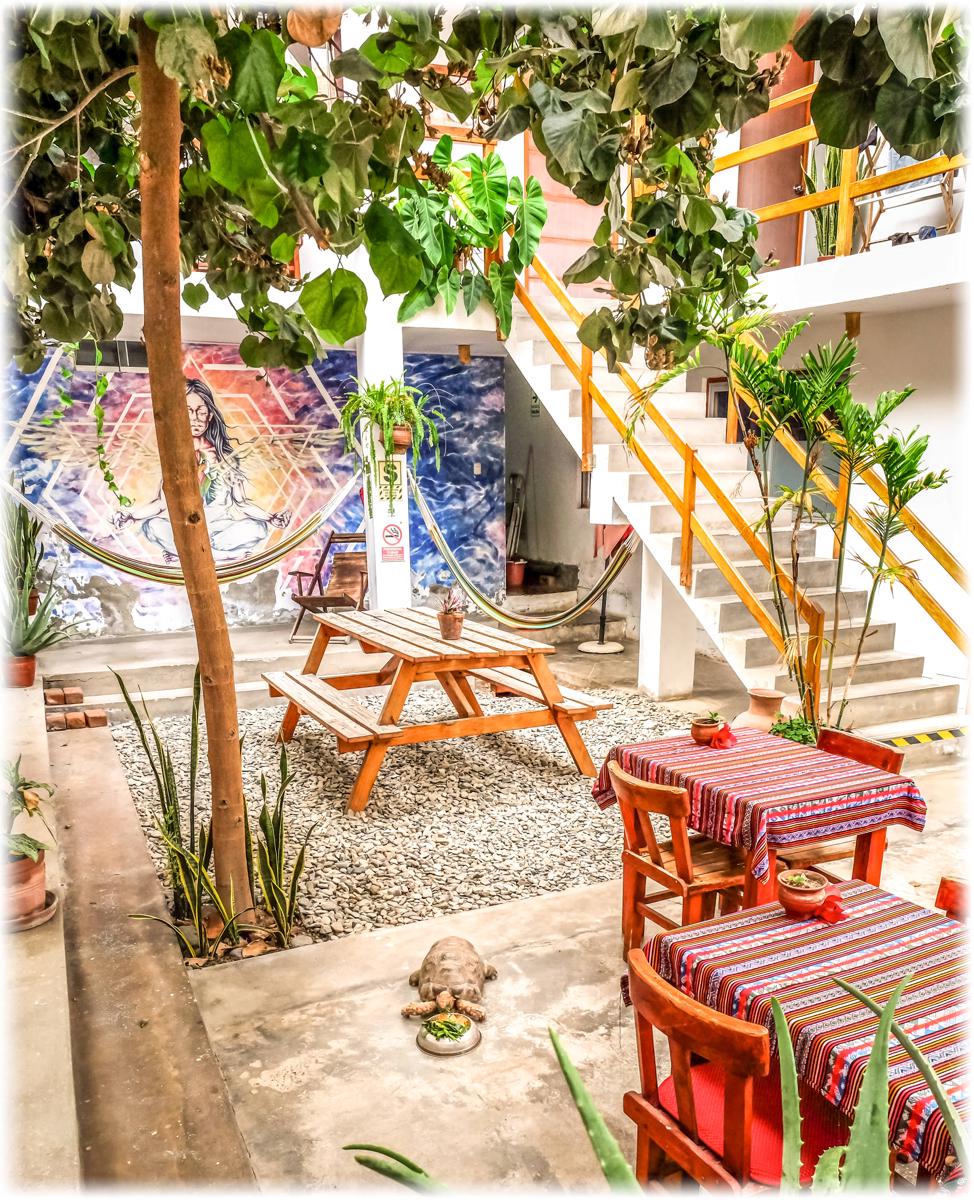 ATMA Hostel & Yoga photo 2