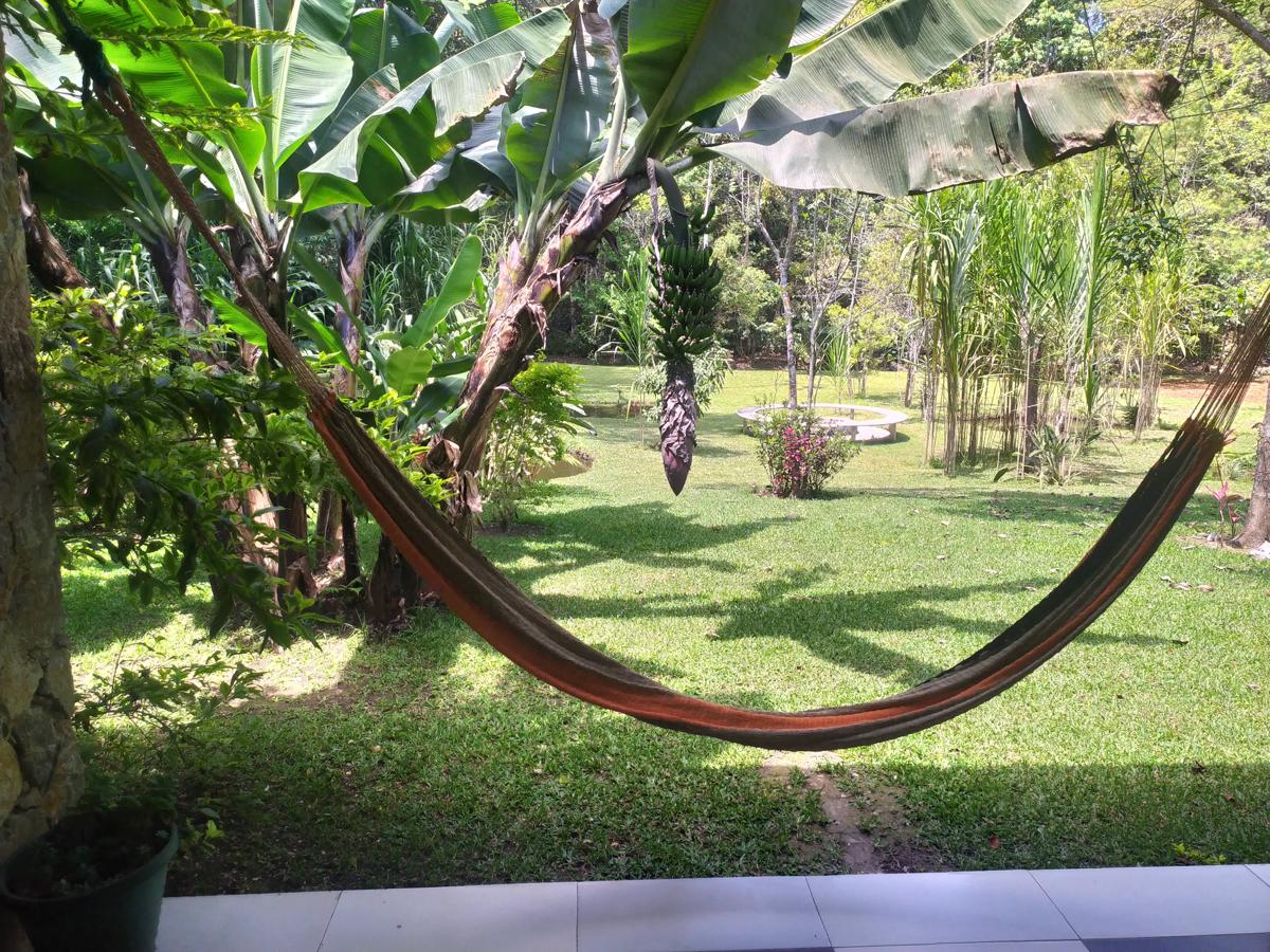 Paraiso San Jose photo 2