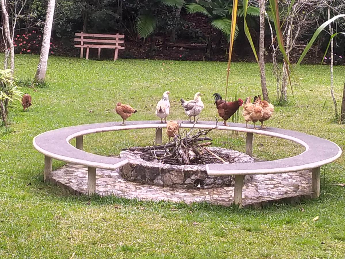 Paraiso San Jose photo 3