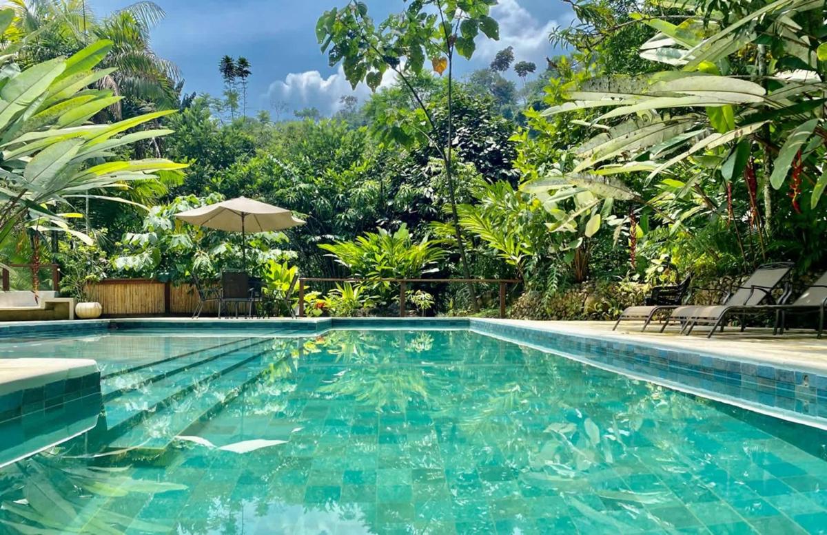 Casa Kiwi Lodge photo 3