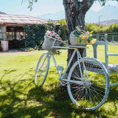 Rancho Elquino photo 3