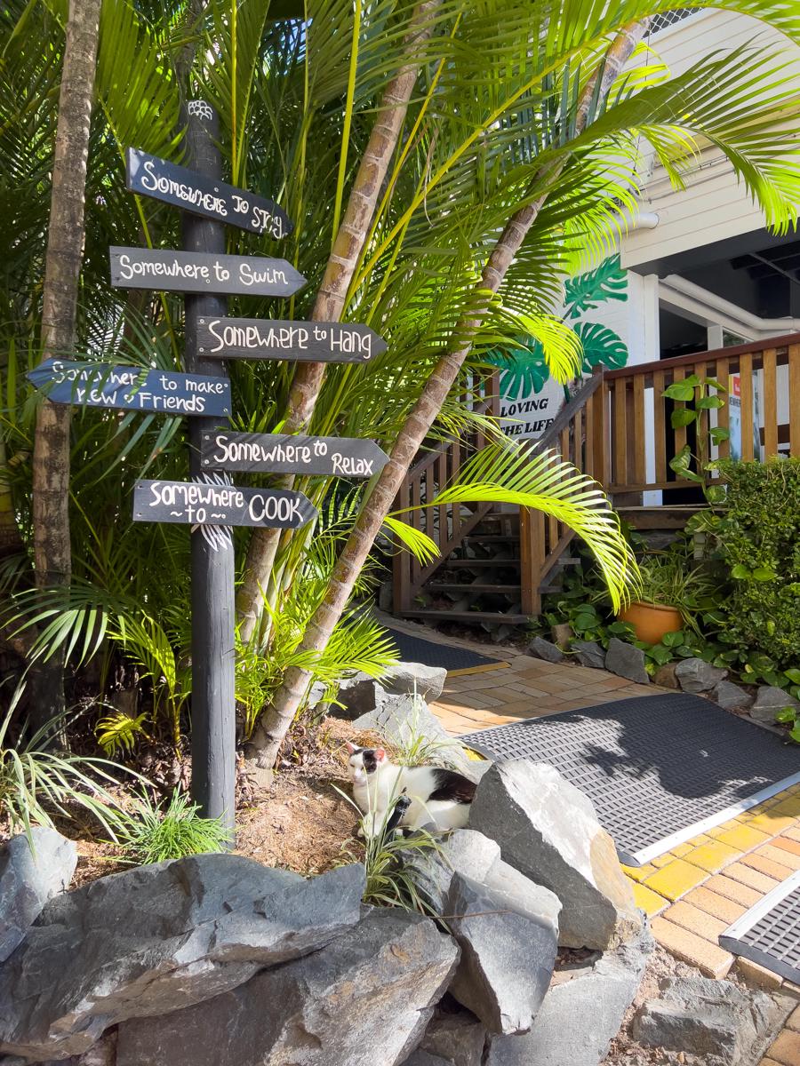 Somewhere to Stay Backpackers photo 4