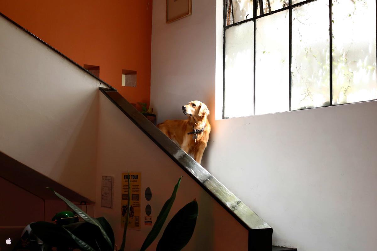 Casa Sabina photo 3