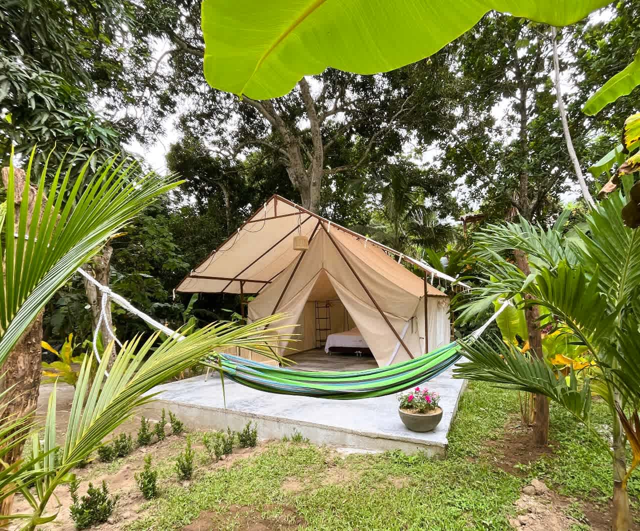 Glamping Jazayma photo 1