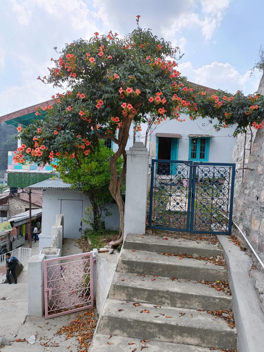 Mohraj Homestay Bhowali photo 1