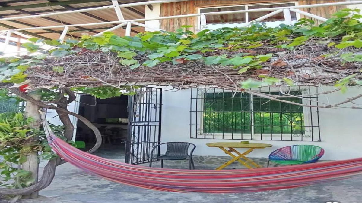 Casa LilyFlower photo 3