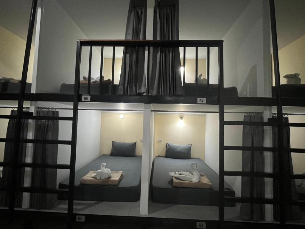 3 Tigers Resort & Hostel photo 2