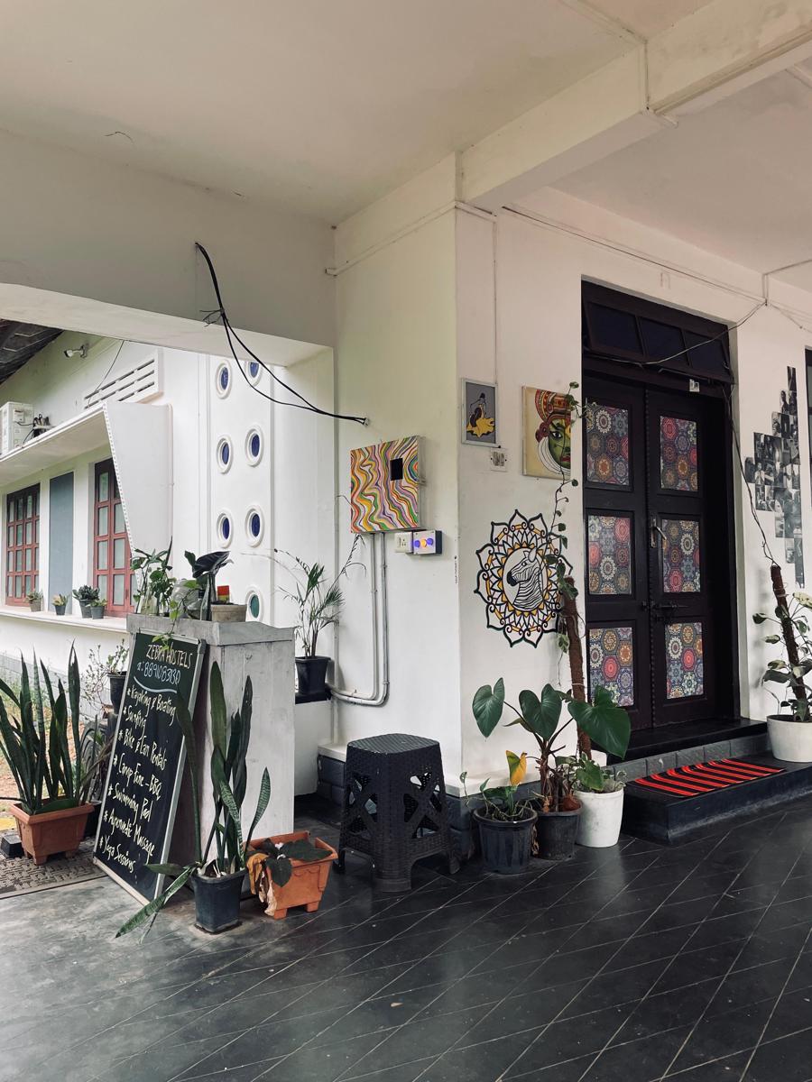 Zebra Hostels photo 2