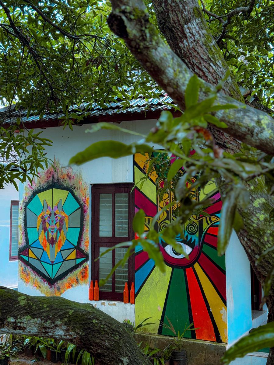 Zebra Hostels photo 3