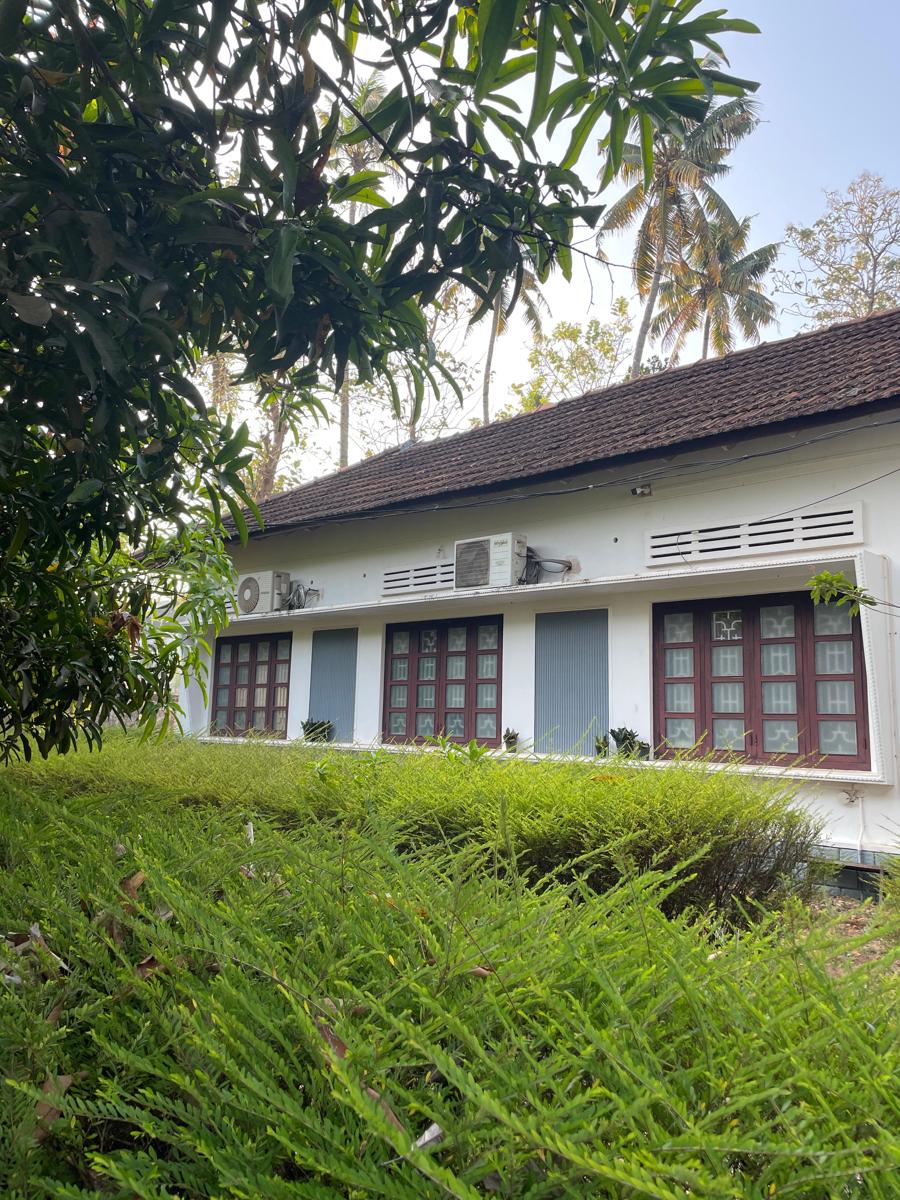Zebra Hostels photo 4