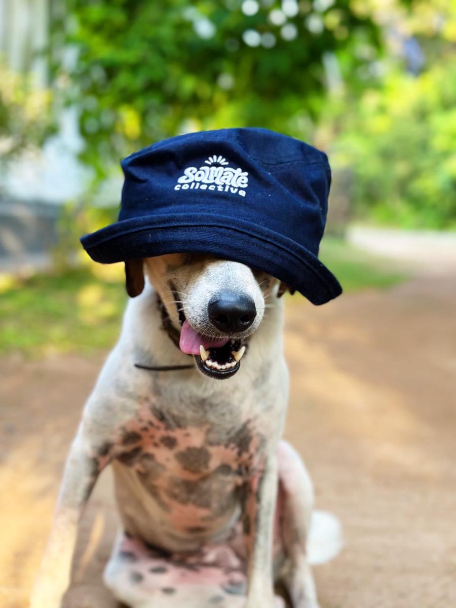 Solmate Collective Hostel - Madiha photo 3