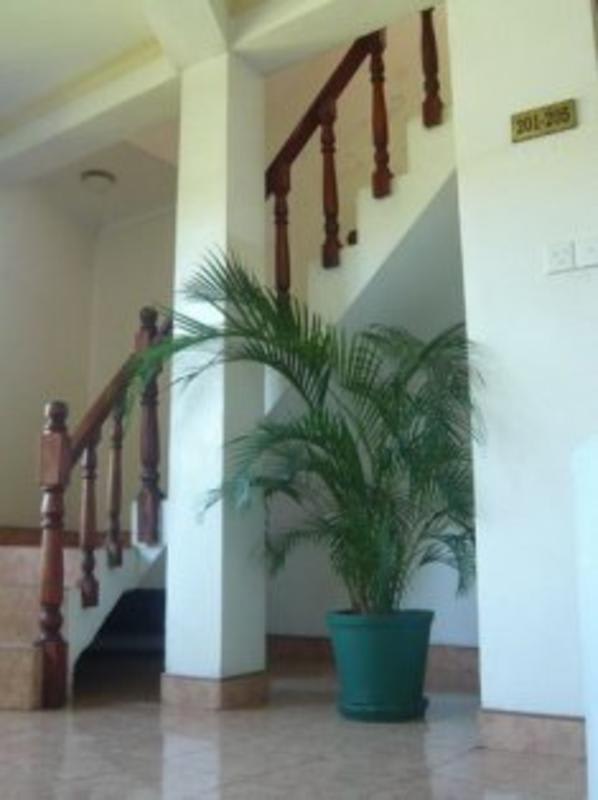 Palm Garden Guest House photo 3