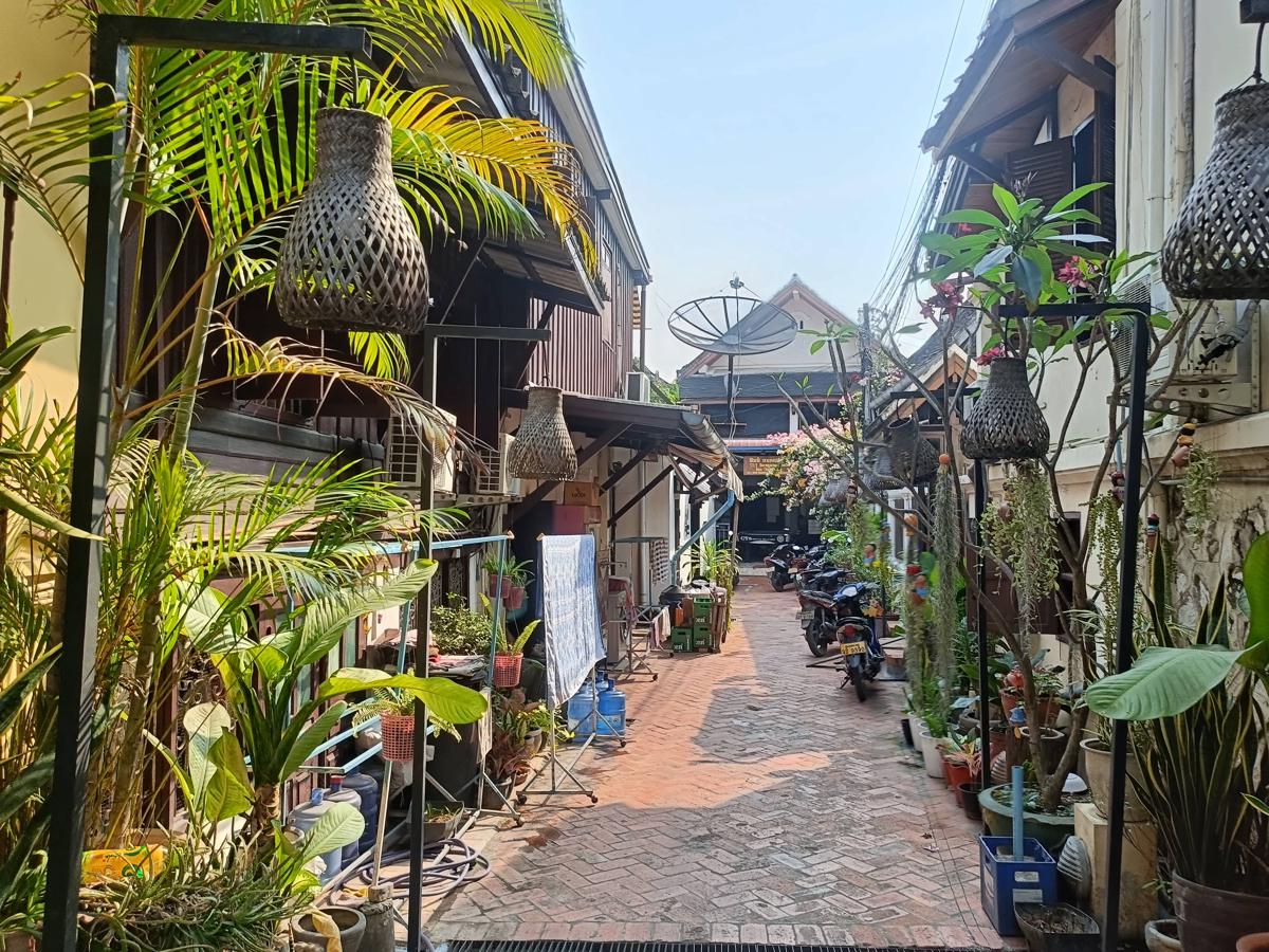 City Backpackers Hostel photo 1