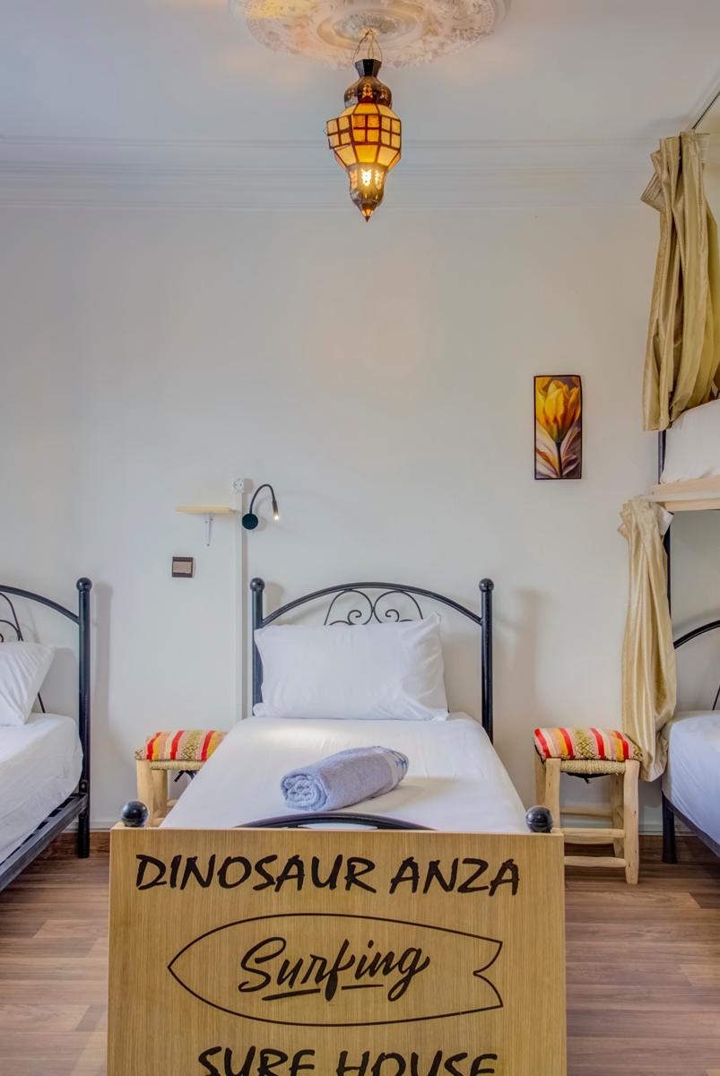 Dinosaur Anza Surf House photo 3