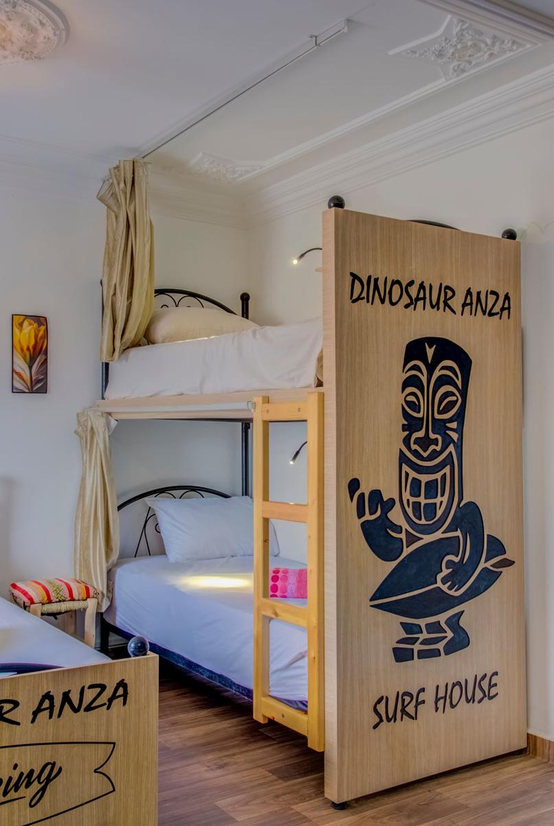 Dinosaur Anza Surf House photo 4