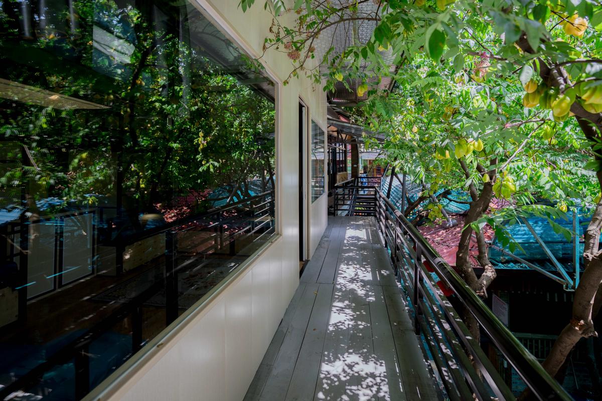 City Garden Hostel photo 3