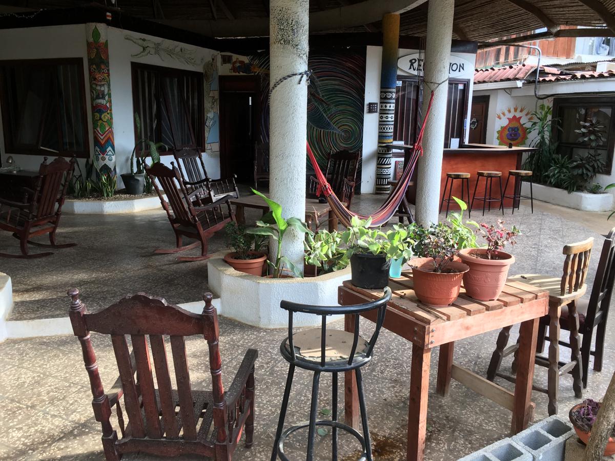 Pura Vida Hostel photo 2