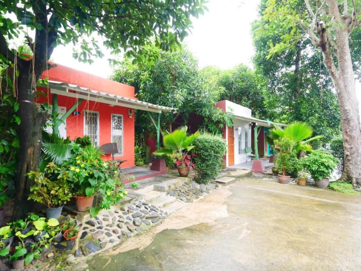Forest Bungalows & Mama's Restaurant photo 3