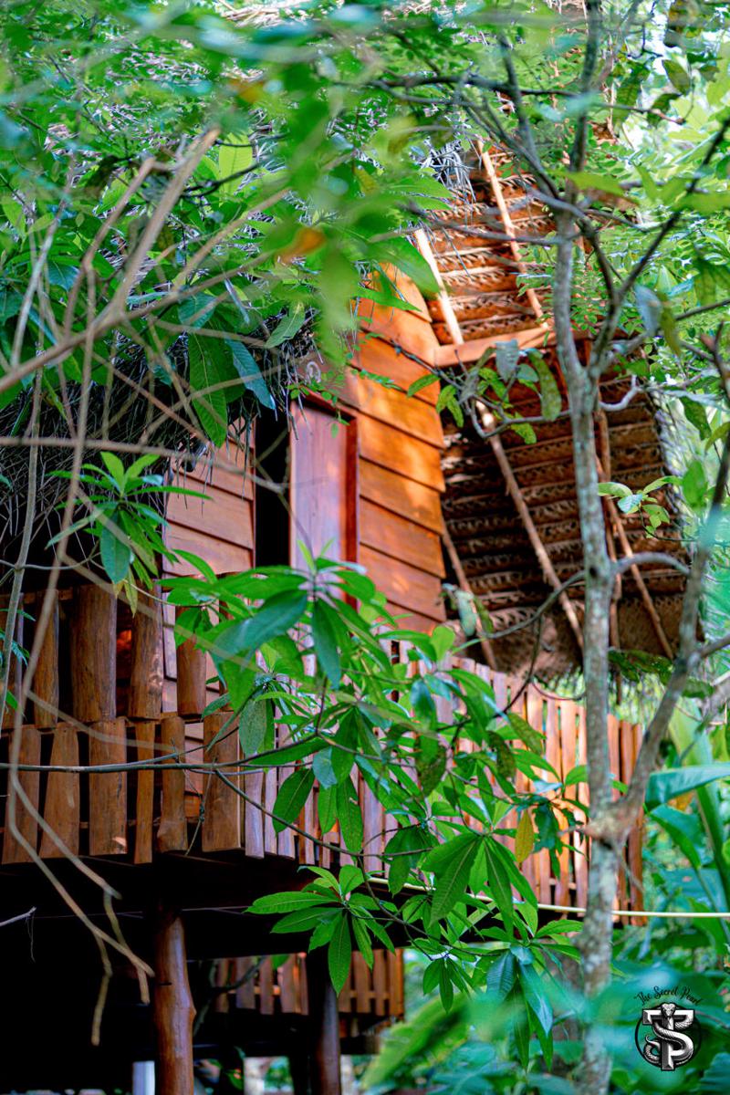 The Secret Pearl Hostel photo 4