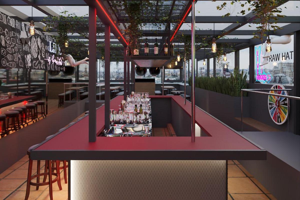 Straw Hat Hostel & RoofTop Bar CDMX photo 1