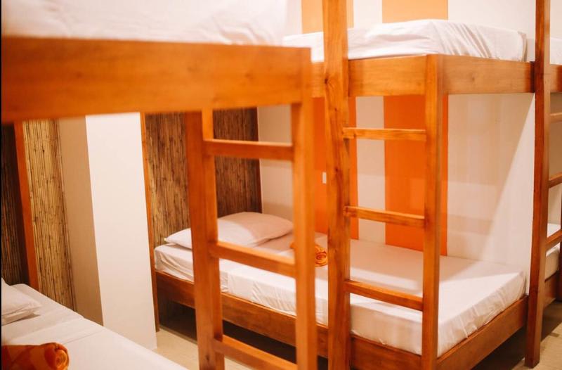 Hostel Avenue photo 4