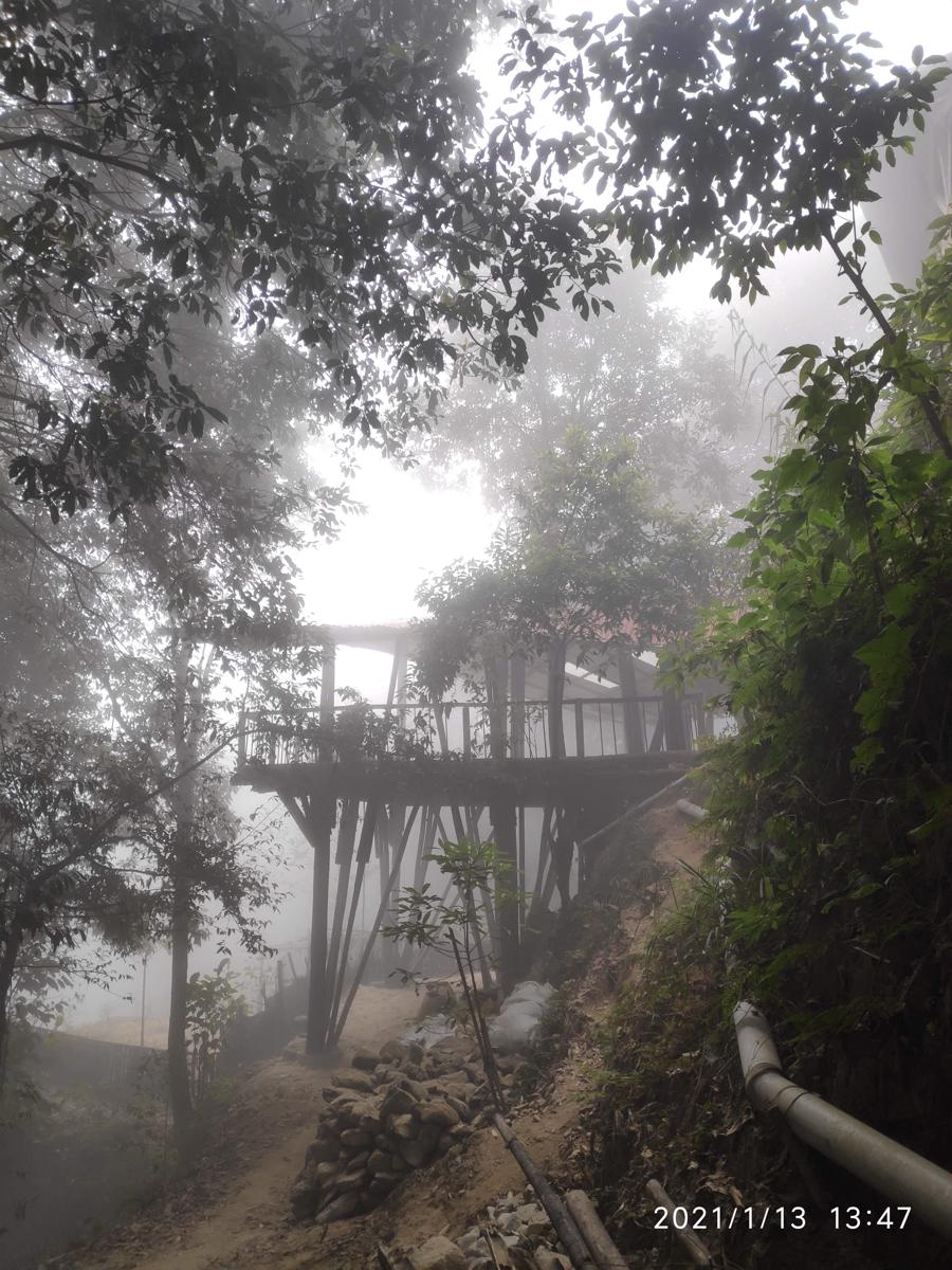 Tieedi Forest Garden photo 2