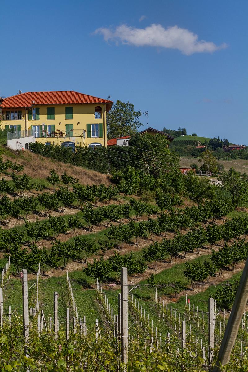 Agriostello delle Langhe photo 3