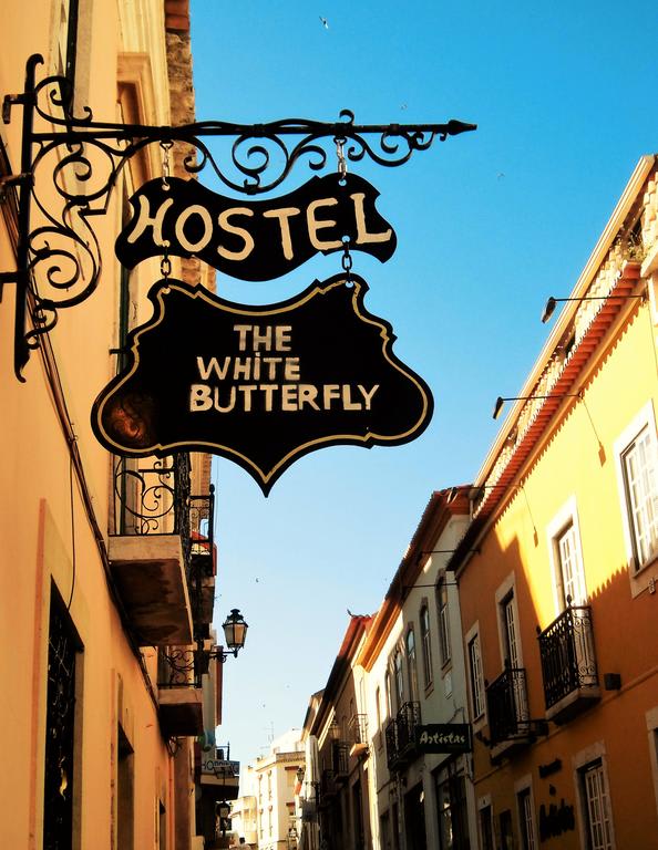 Hostel The White Butterfly photo 2