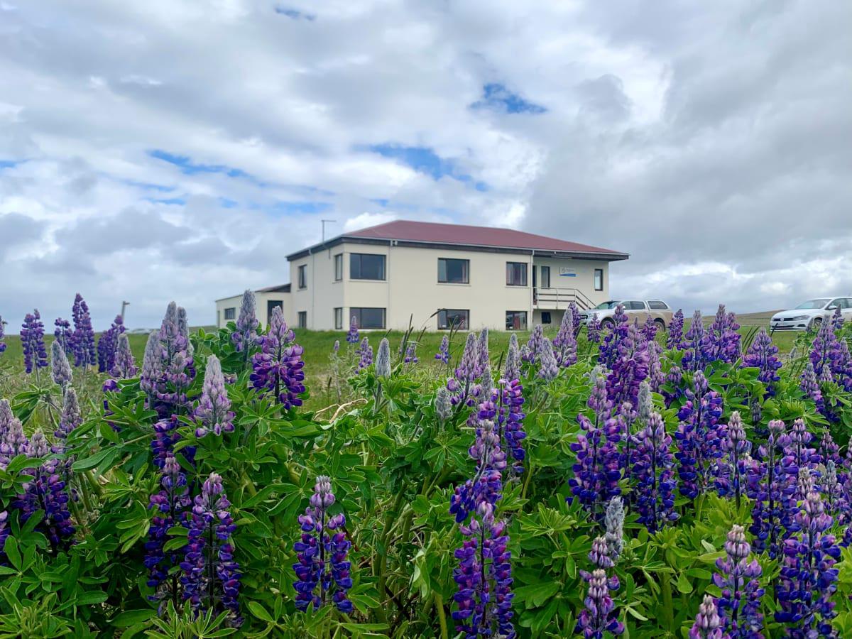 Saeberg HI Hostel photo 4