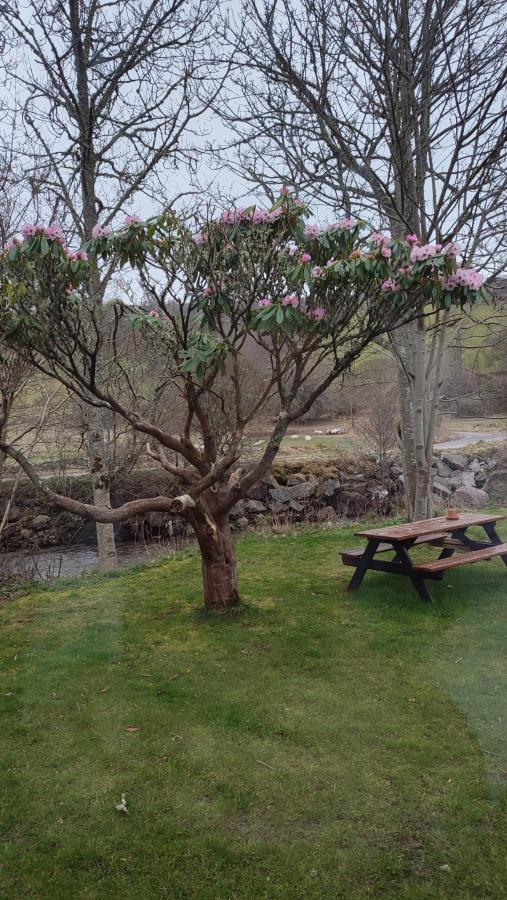 Loch Ness Bunkhouse Drumnadrochit photo 6