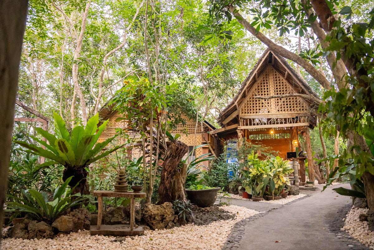 Bohol Coco Farm photo 2