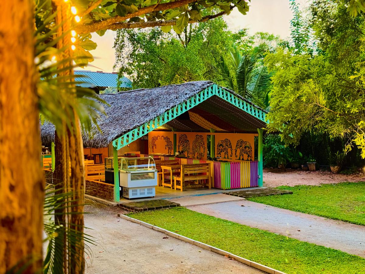 Sigiri Hostel and Cafe photo 3