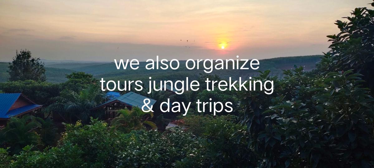 Tree Trails Travel Lodge photo 1