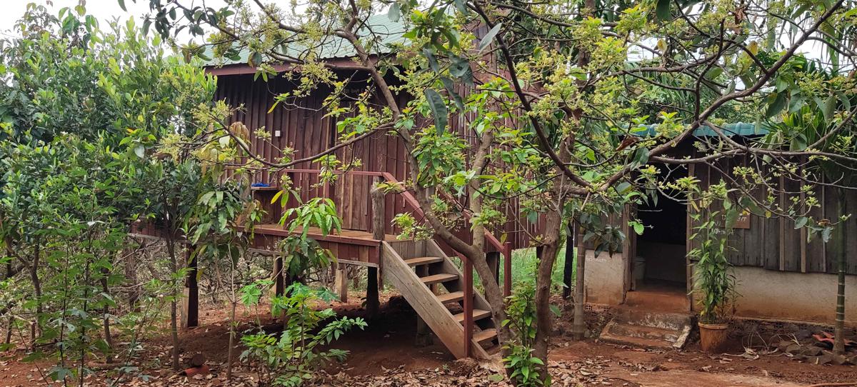 Tree Trails Travel Lodge photo 3