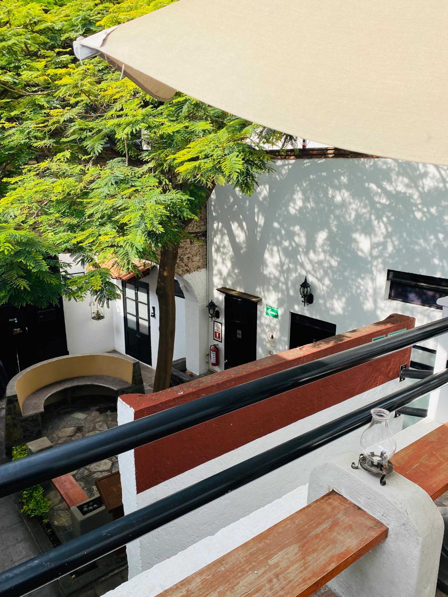 The Tree House Inn photo 1