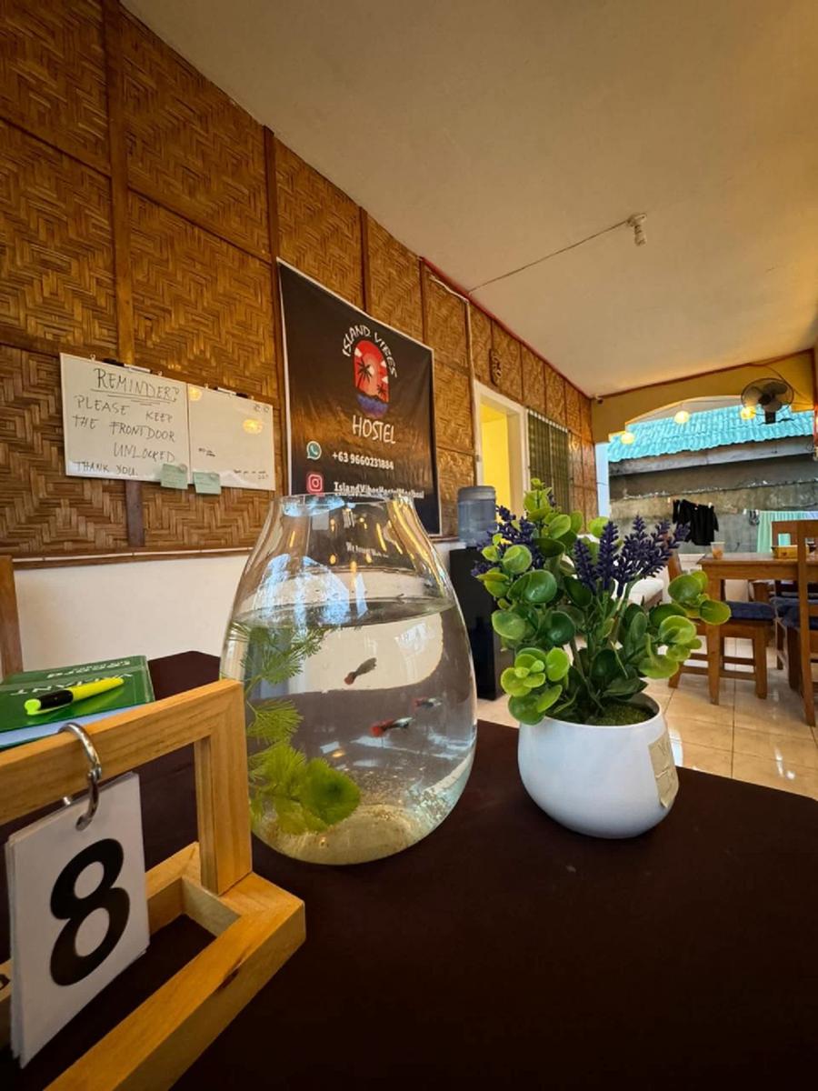 Island Vibes Hostel photo 1